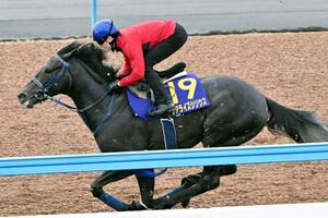 皐月賞に向け、最終追い切りを行うリアライズシリウス=美浦トレーニングセンター