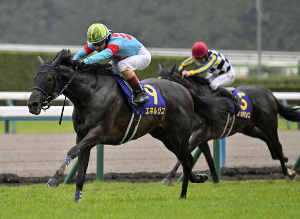第86回菊花賞を制したクリストフ・ルメール騎乗のエネルジコ(左)=京都競馬場