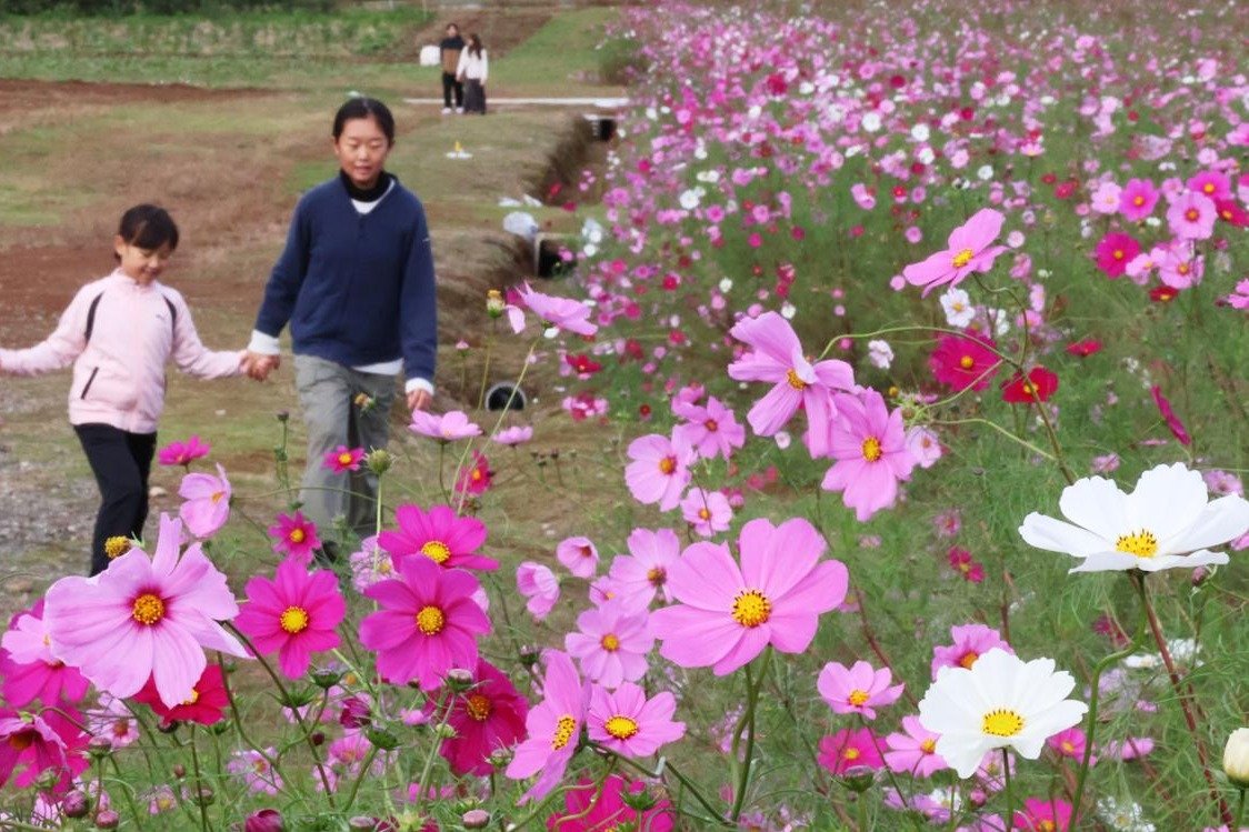 コスモス様　6点おまとめ コスモス様 おまとめ専用ページ♡♡ コスモス様おまとめ＊パンダちゃんの