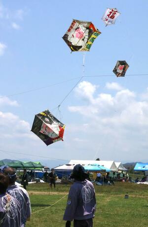 六角凧が糸を絡ませ合い、激しい空中戦を展開した三条凧合戦=6月1日、三条市上須頃