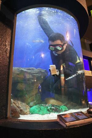 水槽の大掃除をする寺泊水族博物館の職員＝長岡市寺泊花立