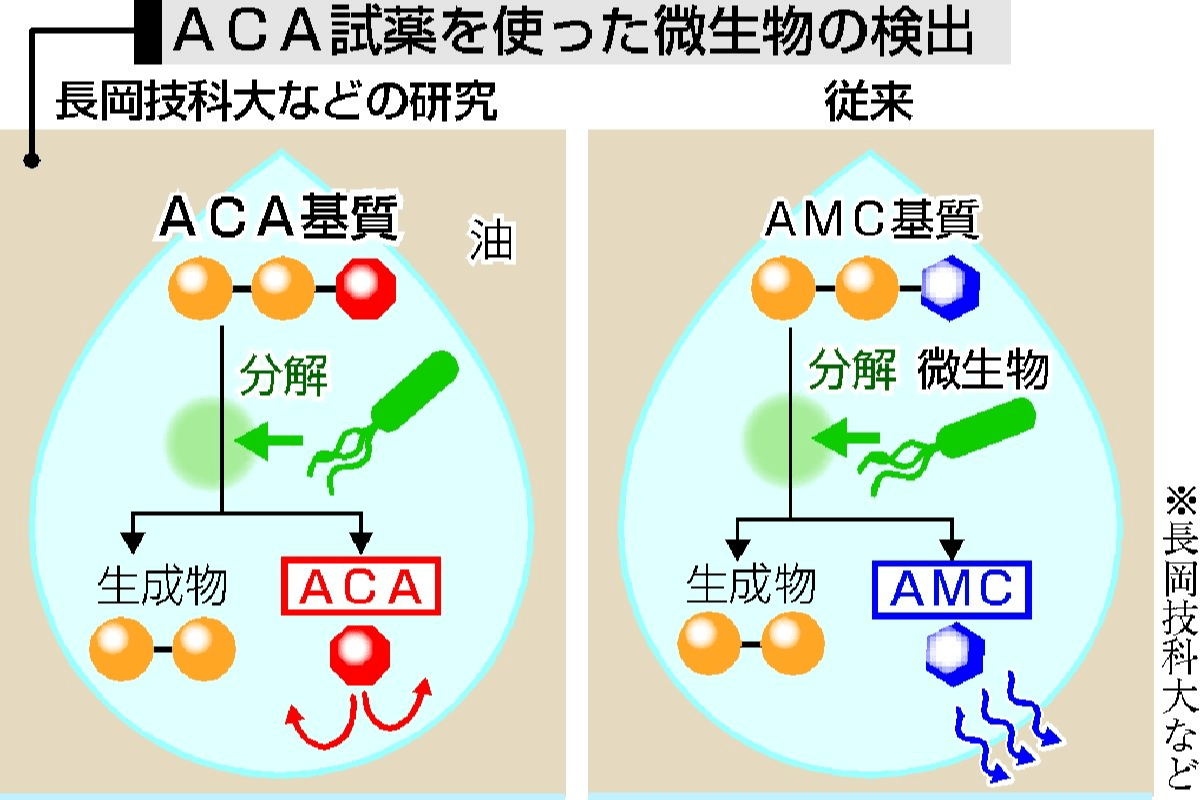 役立つ微生物 効率的に発見 長岡技科大などが技術開発 新潟日報デジタルプラス