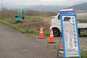 熊が潜める場所減らし早期発見へ、糸魚川市・姫川河川敷で草木除去　上越市・関川でも作業予定