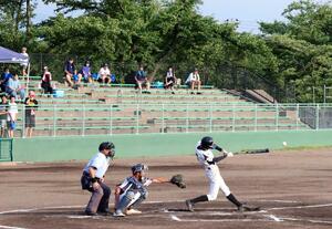 熱戦が繰り広げられた上越市少年野球大会の決勝=上越市の高田城址公園野球場