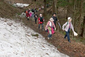 古道を歩いて自然や歴史を感じた「こしじ健康ウオーキングin塚山」=13日、長岡市越路地域