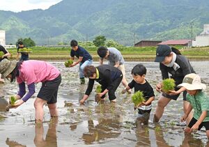 青空の下、田植え体験を満喫する参加者たち=南魚沼市上十日町