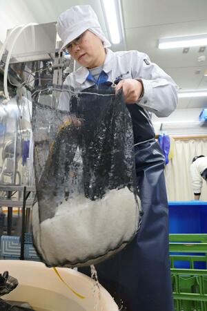 ラグーンブリュワリーの酒蔵で洗米作業する白藤酒造店の白藤暁子さん=新潟市北区前新田