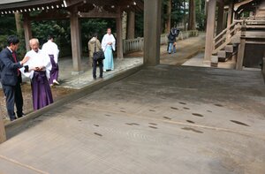 弥彦神社の境内にある二十二所神社で見つかったシミ＝２０１５年