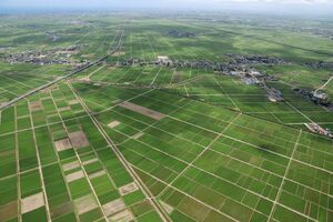 越後平野の田園風景