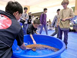 親子連れらが錦鯉を観賞したり触れたりして楽しんだ「錦鯉ふれあいイベント」＝４日、長岡市千秋２
