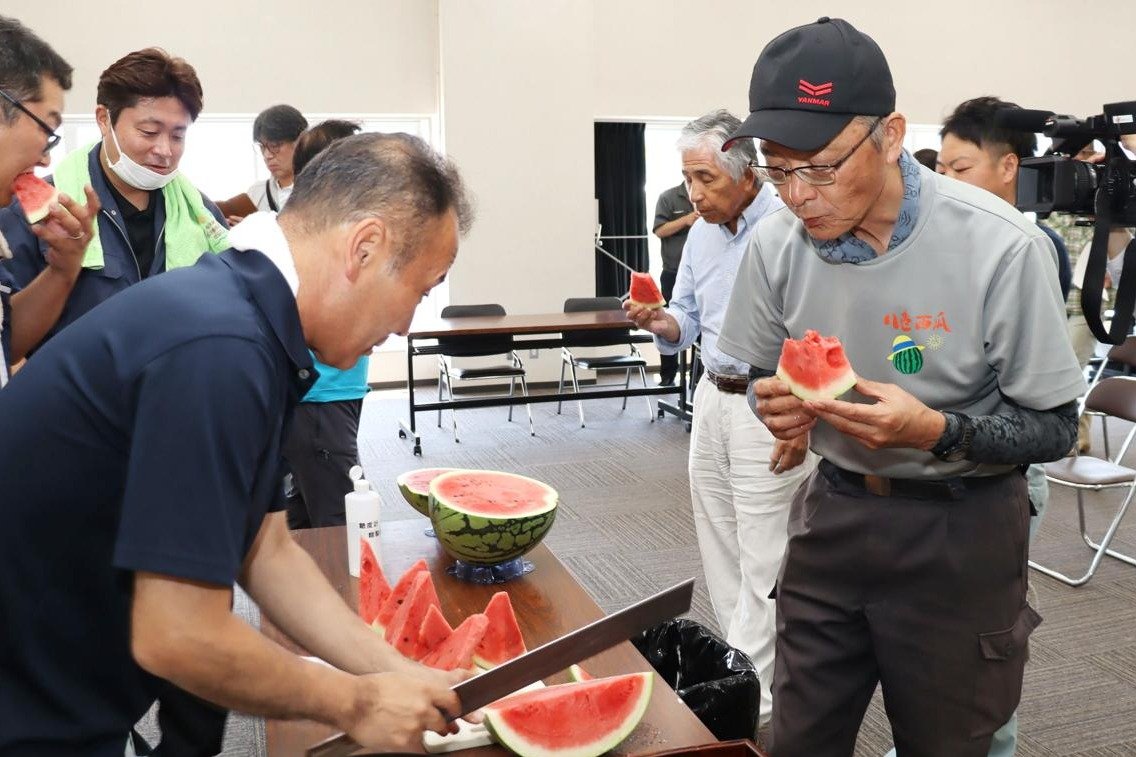 南魚沼市特産「八色西瓜」今年も甘み凝縮 出荷最盛期を前に生育状況