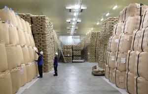政府備蓄米を保管している福島県矢吹町の倉庫=2024年4月