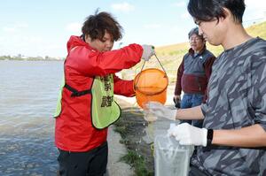 環境DNAを調べるため、信濃川の水を取る荒木仁志教授(奥)らのチーム=2024年11月、新潟市中央区