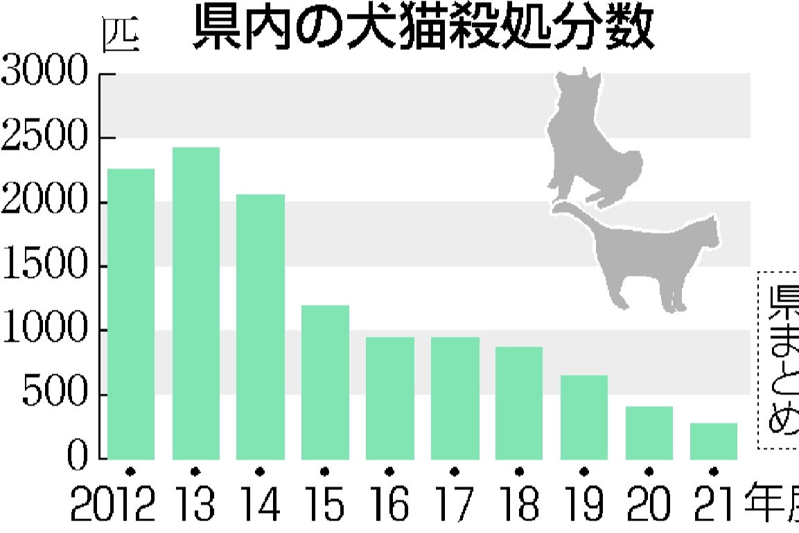 犬猫殺処分 過去最少270匹 新潟日報デジタルプラス