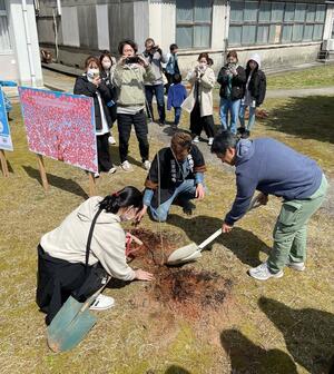 保内植木組が参加した桜の苗木の植樹=3月30日、石川県能登町(齊藤巧さん提供)