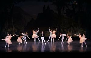 美しい舞が観客を魅了した「白鳥の湖」公演=26日、新潟市中央区