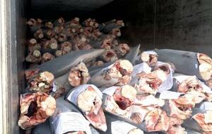 　「道源」が輸出しようとした冷凍アオザメ＝２０２５年