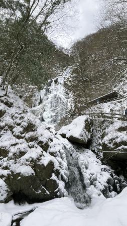 厳冬期に凍結した愛媛県東温市の「白猪の滝」(同市提供)