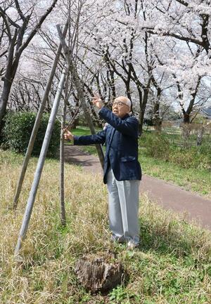 夏場の小まめな水やりなどで桜を保全する「加治川を愛する会」の鬼嶋正之会長＝聖籠町
