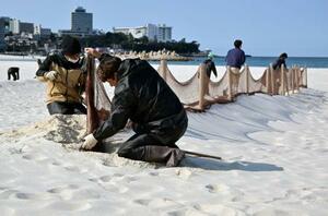 和歌山県白浜町の白良浜で行われた防砂ネットの撤去作業=12日