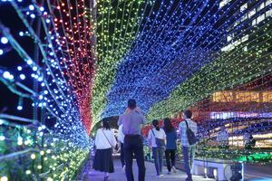 朱鷺メッセ周辺の万代島で始まったイルミネーション=9月19日、新潟市中央区