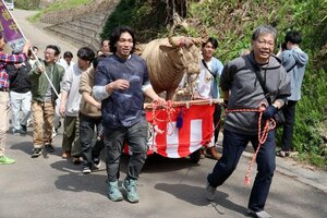 7年ぶりに巨大なスゲ牛が集落を練り歩いた=妙高市下平丸