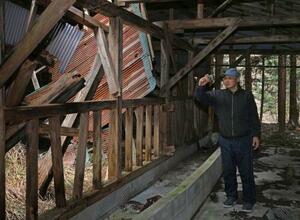 帰還困難区域内にある自宅近くの牛舎で荒れた様子を撮影する佐山梅雄さん=2月12日、福島県南相馬市小高区金谷