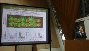 記者会見する東京大の矢守航准教授=19日午前、東京都文京区