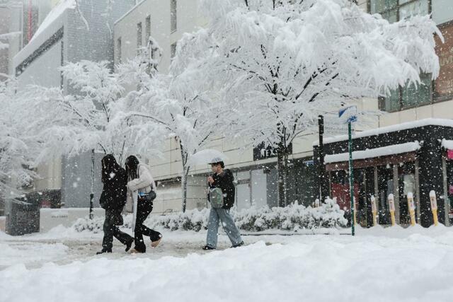 雪が降り続き、平年を大きく上回る積雪となった新潟市中心部＝２４日、新潟市中央区の万代地区