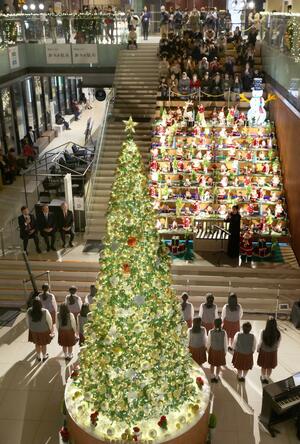華やかに彩られた「希望のシンボルツリー」＝２０日、新潟市中央区