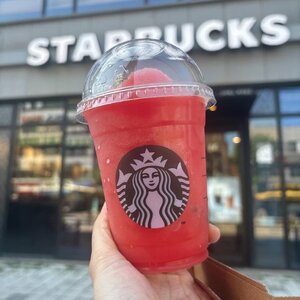 人気チェーン4店舗を飲み比べ（撮影：二俣愛子）
