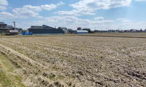 離農者からの田の受け皿として集積を続けてきた「道潟農場」周辺の田＝１７日、新潟市南区