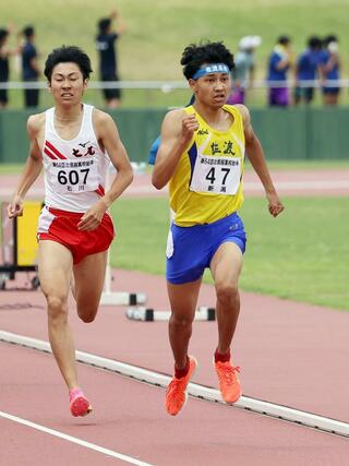 男子800メートル決勝 トップでゴールに駆け込む和田信之介ヤシン(佐渡)=6月22日、福井県営陸上競技場
