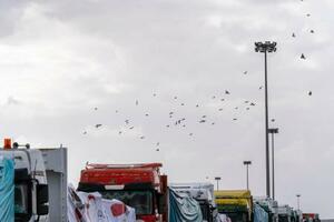 　検問所で待つトラック＝２日、ガザ南部ラファ（ゲッティ＝共同）