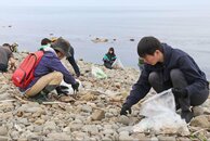 柏崎の絶景スポットをきれいに♪青海川海岸で恒例の清掃活動、住民ら220人が汗流す