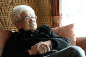 養老孟司さん(撮影・小倉元司)