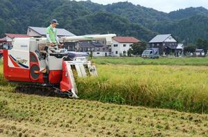 新潟県内の稲刈り作業