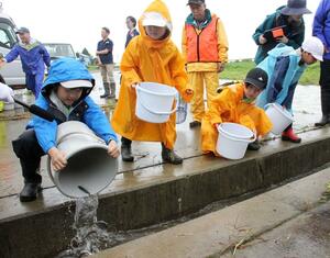 矢代川に注ぐ水路にアユの稚魚を放流する斐太北小児童=妙高市