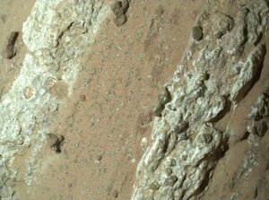 火星探査車パーシビアランスが撮影した岩石(NASAなど提供・共同)