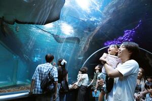多くの客でにぎわった新潟市水族館「マリンピア日本海」＝新潟市中央区
