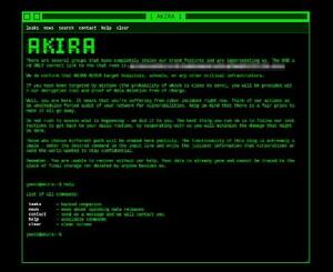 　ハッカーが身代金を要求するサイトの画面（ハッカーの連絡先をモザイク加工しています）