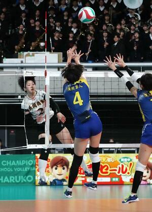 横浜隼人(神奈川)-長岡商 第1セット、スパイクを決める冨田ひかり=東京体育館