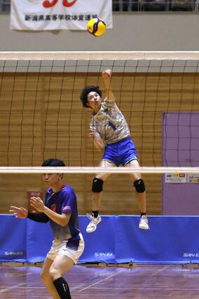 バレーボール男子決勝 4年ぶり優勝の新発田中央。サーブを打つ笠原廉太郎=小千谷市総合体育館