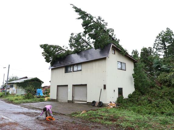 突風で倒木が寄りかかった車庫＝１１日、上越市三和区所山田