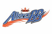 ［新潟アルビＢＢ］準決勝の相手はレギュラーシーズン１位の香川！5月9日から敵地で3戦2勝方式