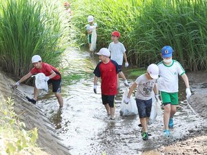 青田川のごみを拾う児童たち=上越市
