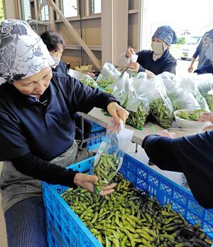 えちご茶豆の袋詰め作業=新発田市大伝