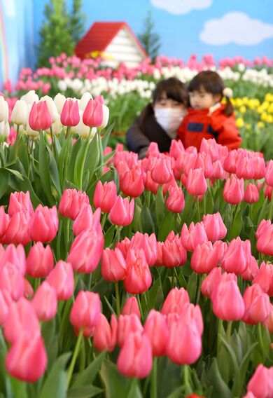 春の息吹を先取り 新潟日報デジタルプラス