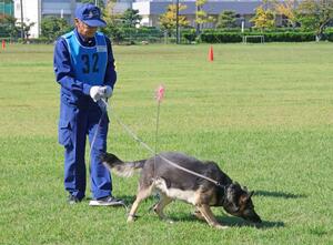 県警嘱託警察犬の審査会=新潟市西区