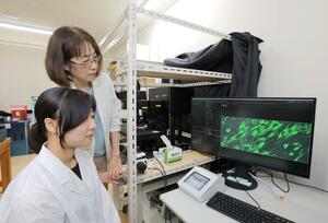 学生とラットの細胞機能を観察する久保亜抄子教授=新潟医療福祉大学